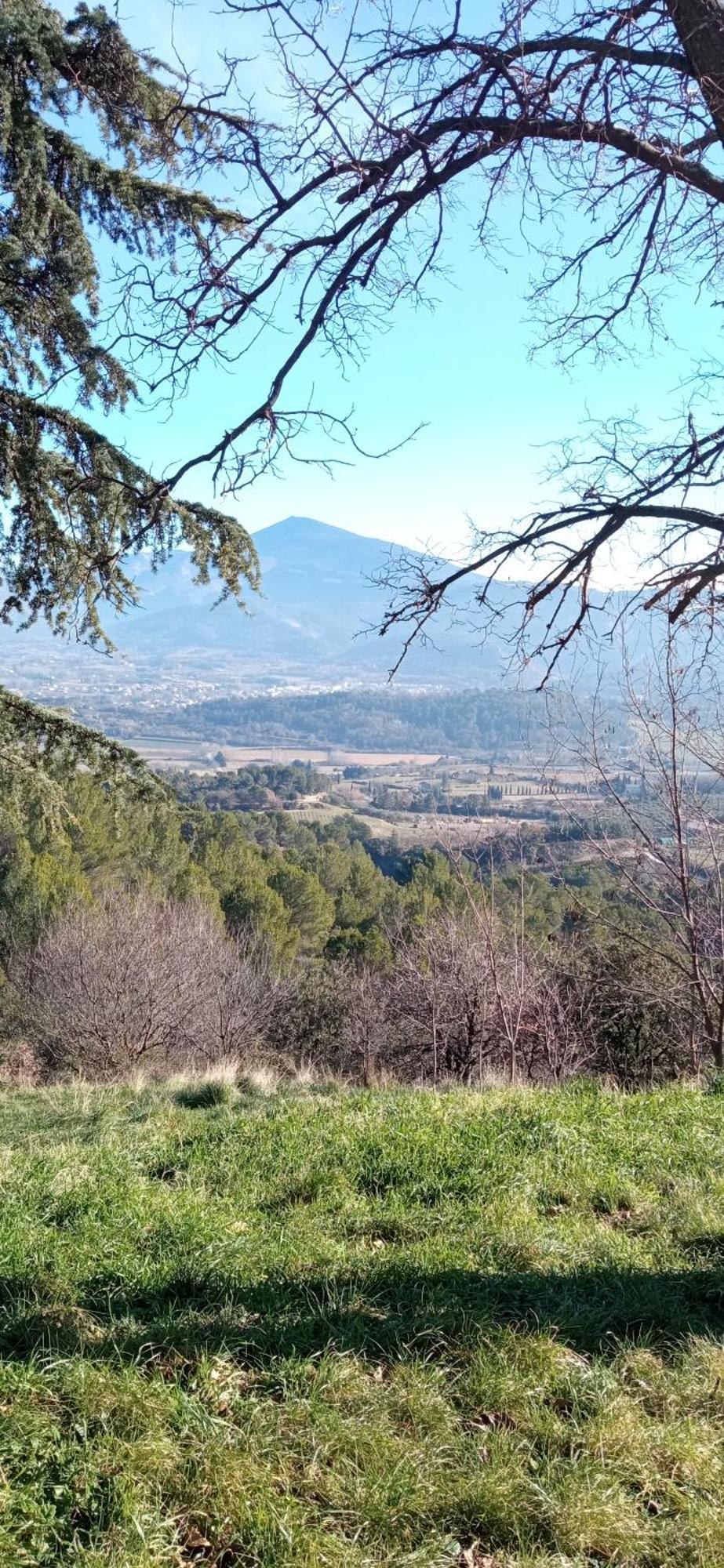 Studio Tout Confort En Provence Mont Ventoux. Bédoin Exterior photo